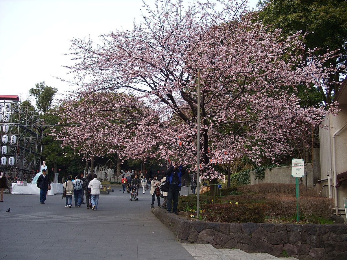 Ueno_Park_