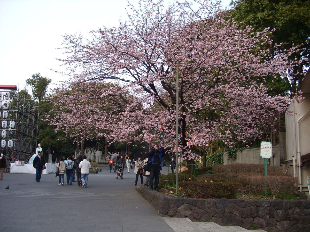 上野恩賜公園