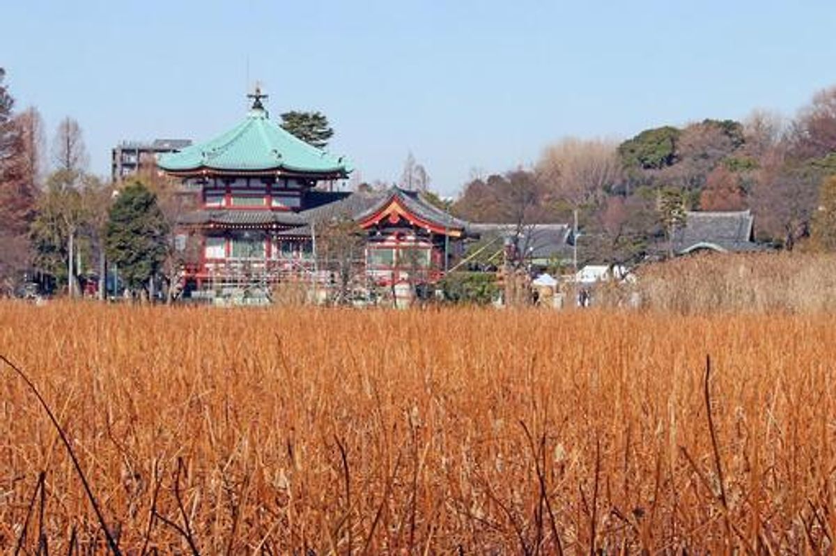 간에이지