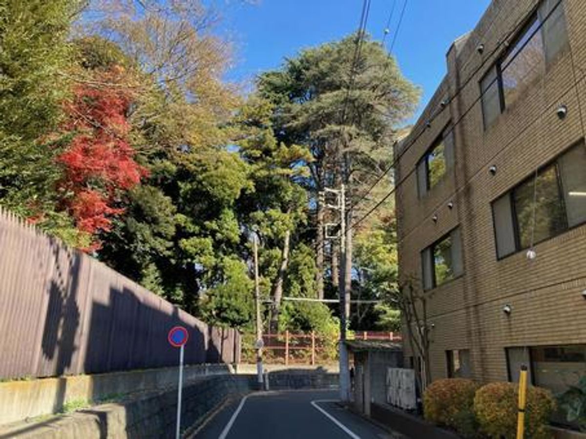 新宿御苑 南紅綠燈旁的小路