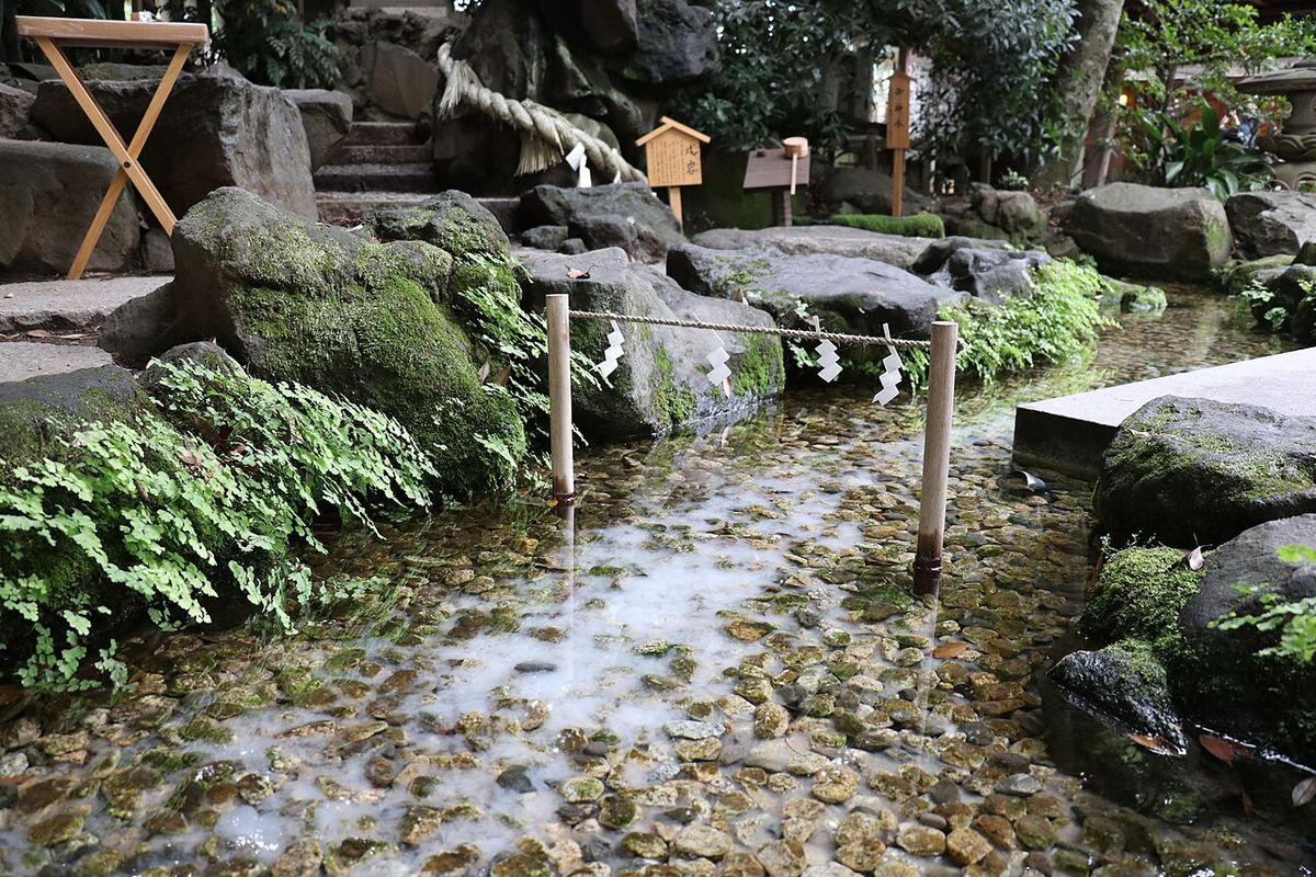 Kawagoe Hikawa Shrine Stream