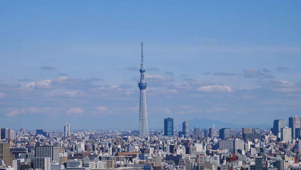 Stunning aerial view of Tokyo cityscape featuring the iconic Skytree Tower under a blue sky.