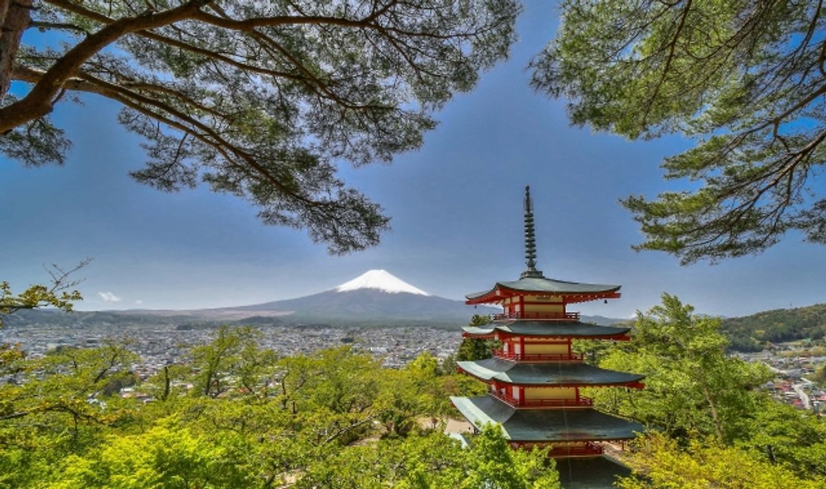 新倉山淺間公園、富士山