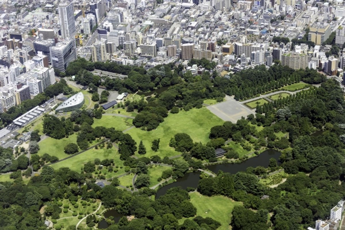 Shinjuku Gyoen Aerial View