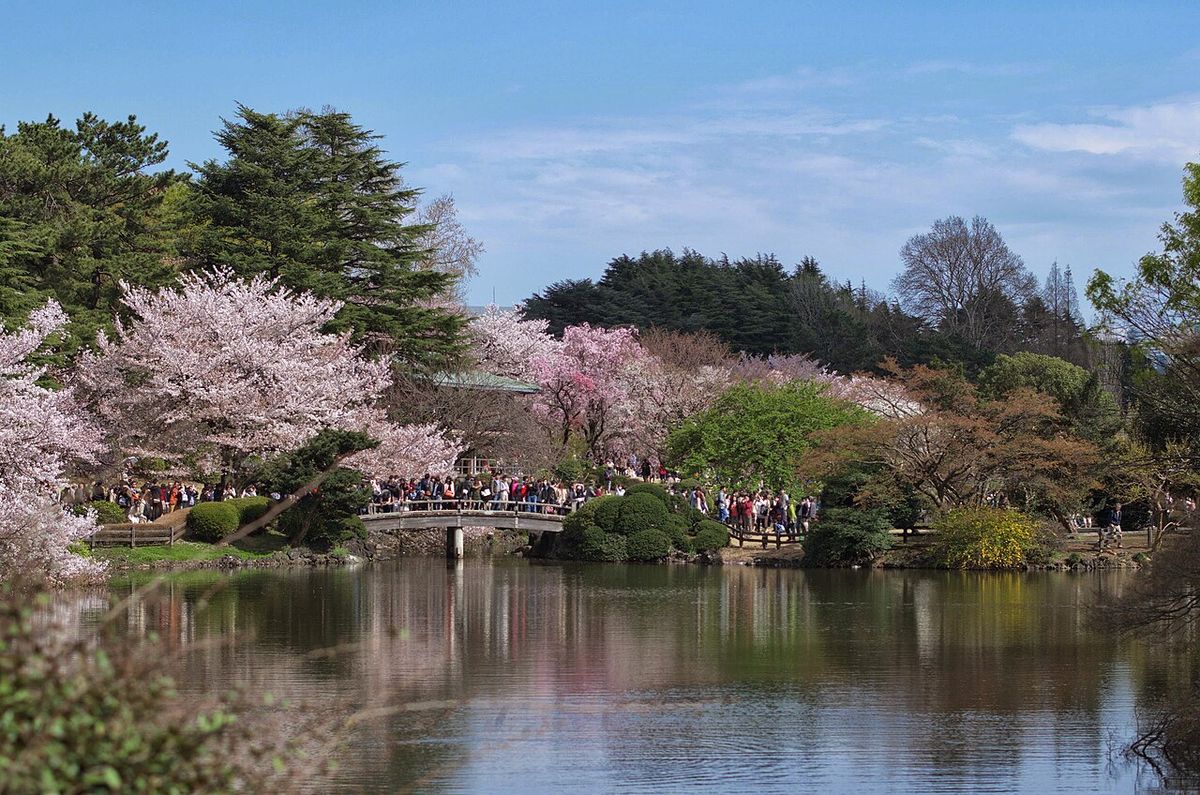 Shinjuku Gyoen Spring