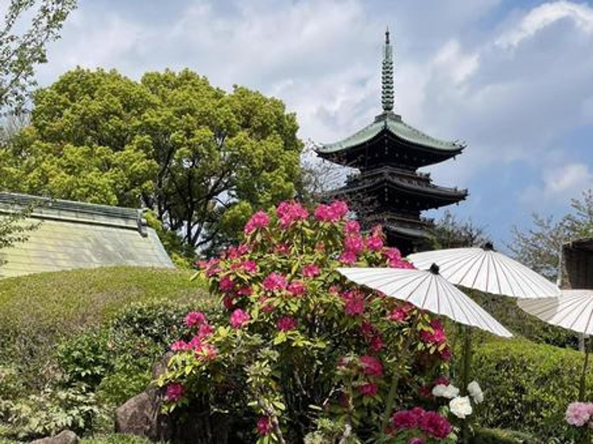 上野東照宮ぼたん苑と五重塔