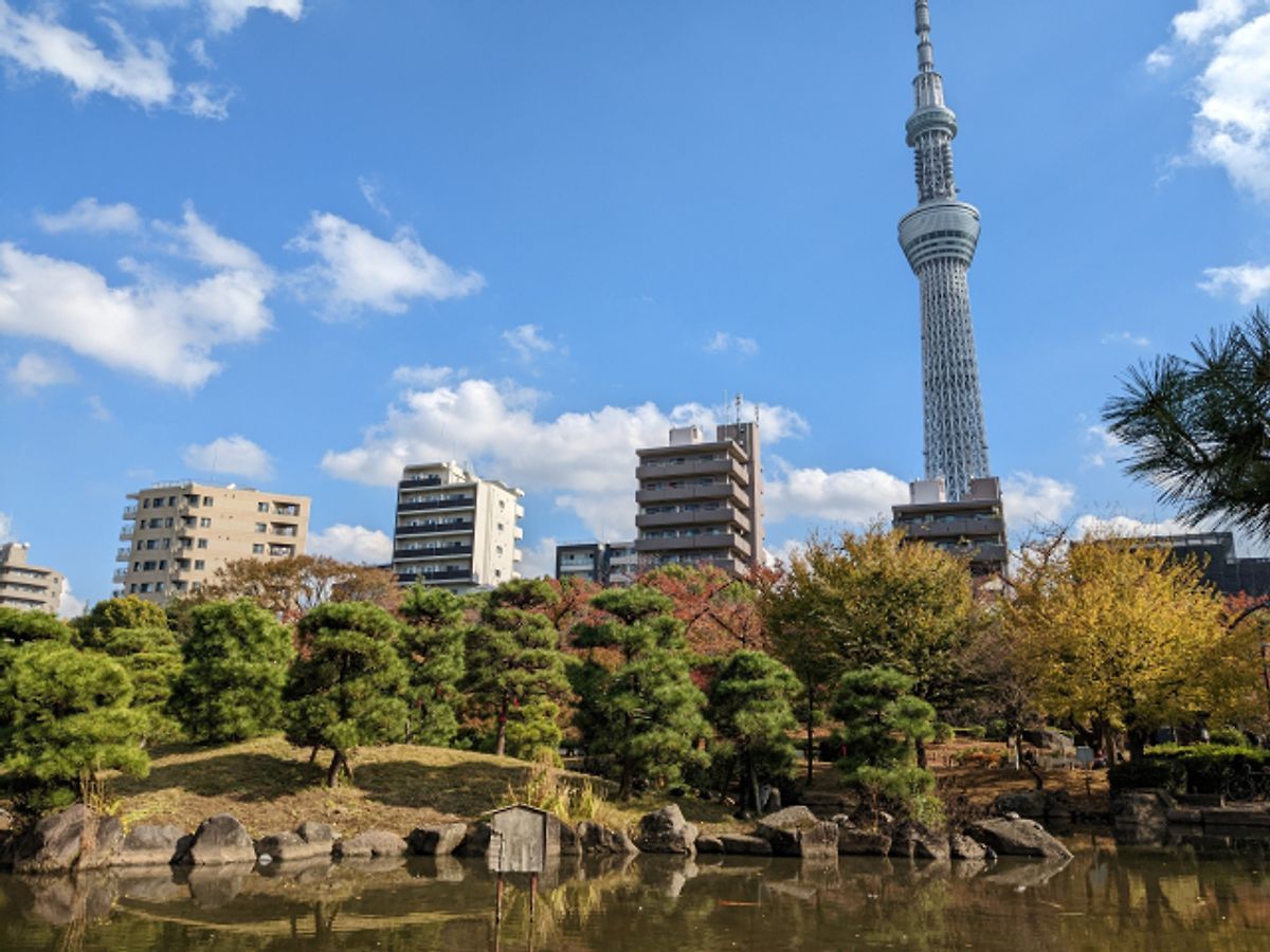 Sumida Park and Tokyo Skytree