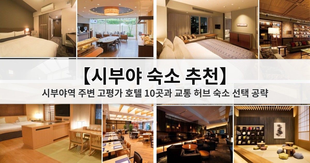 【시부야 숙소 추천】 시부야역 주변 고평가 호텔 10곳과 교통 허브 숙소 선택 공략
