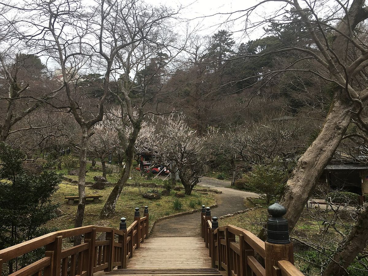 Atami Plum Garden