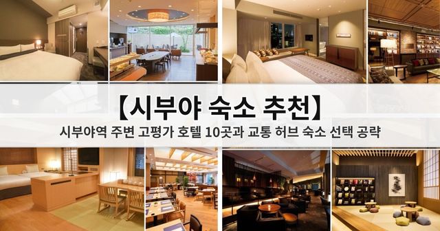 【2026 시부야 숙소 추천】 시부야역 주변 고평가 호텔 10곳과 교통 허브 숙소 선택 공략