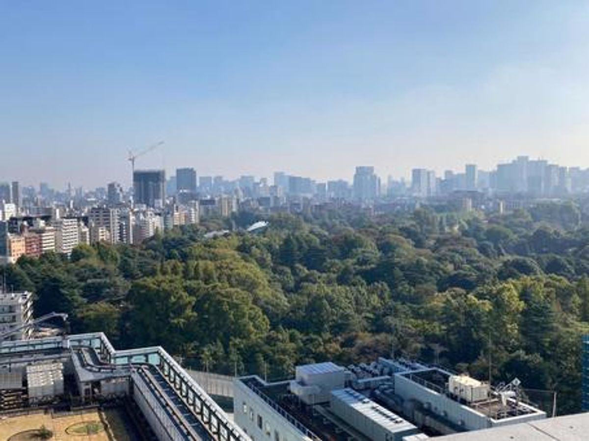 新宿の遠景と新宿御苑