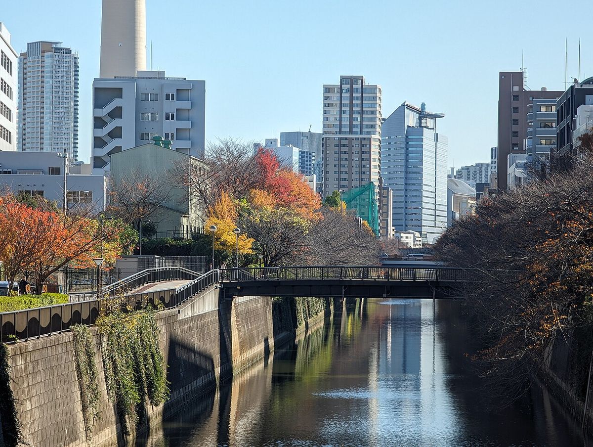 目黒川