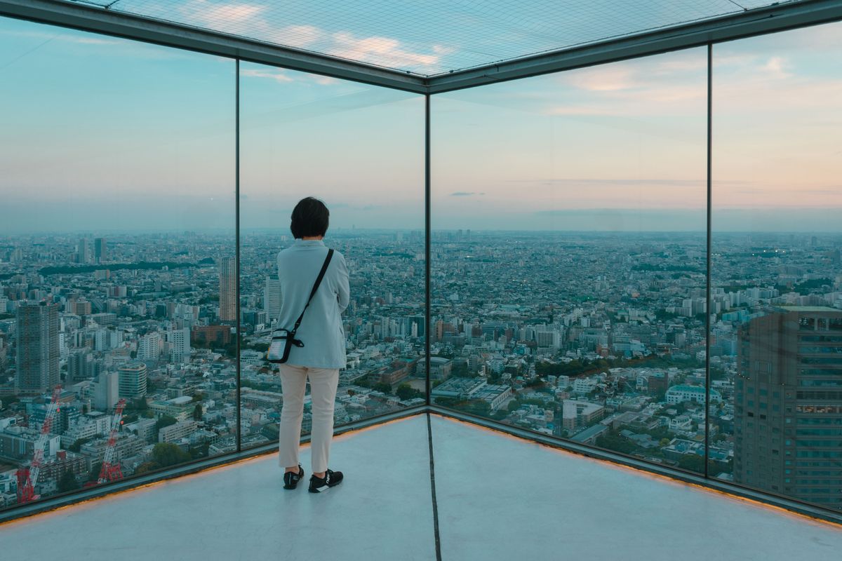 A person gazes over Tokyo