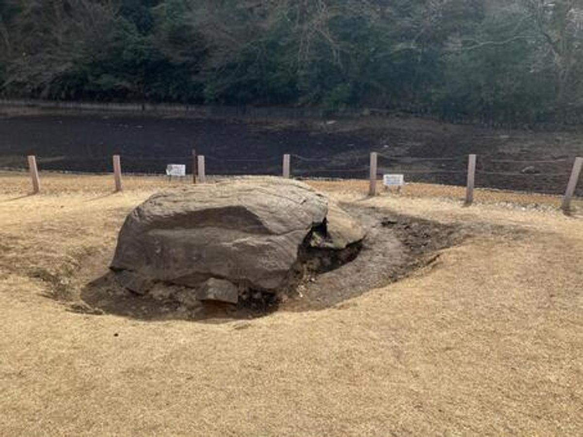 明治神宮 龜石