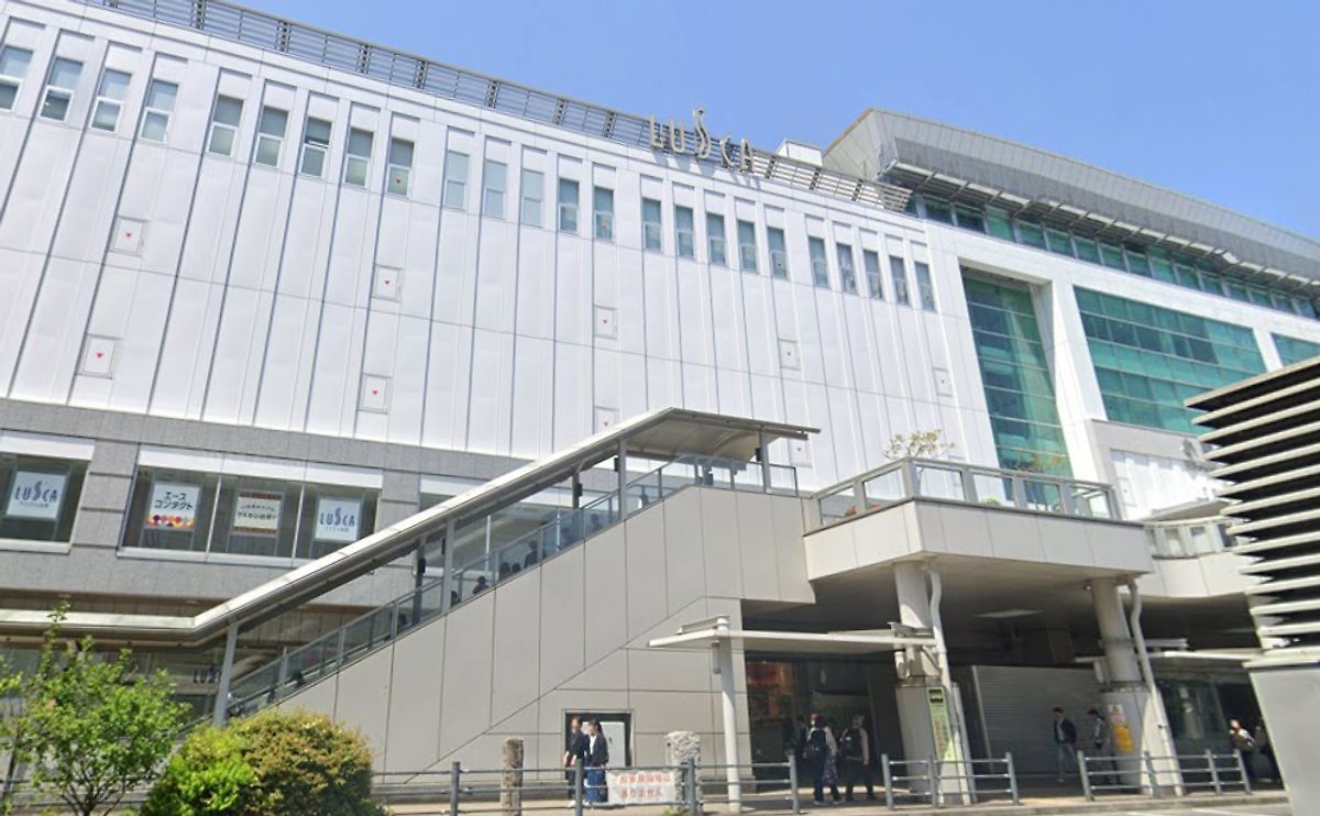 Lusca Odawara