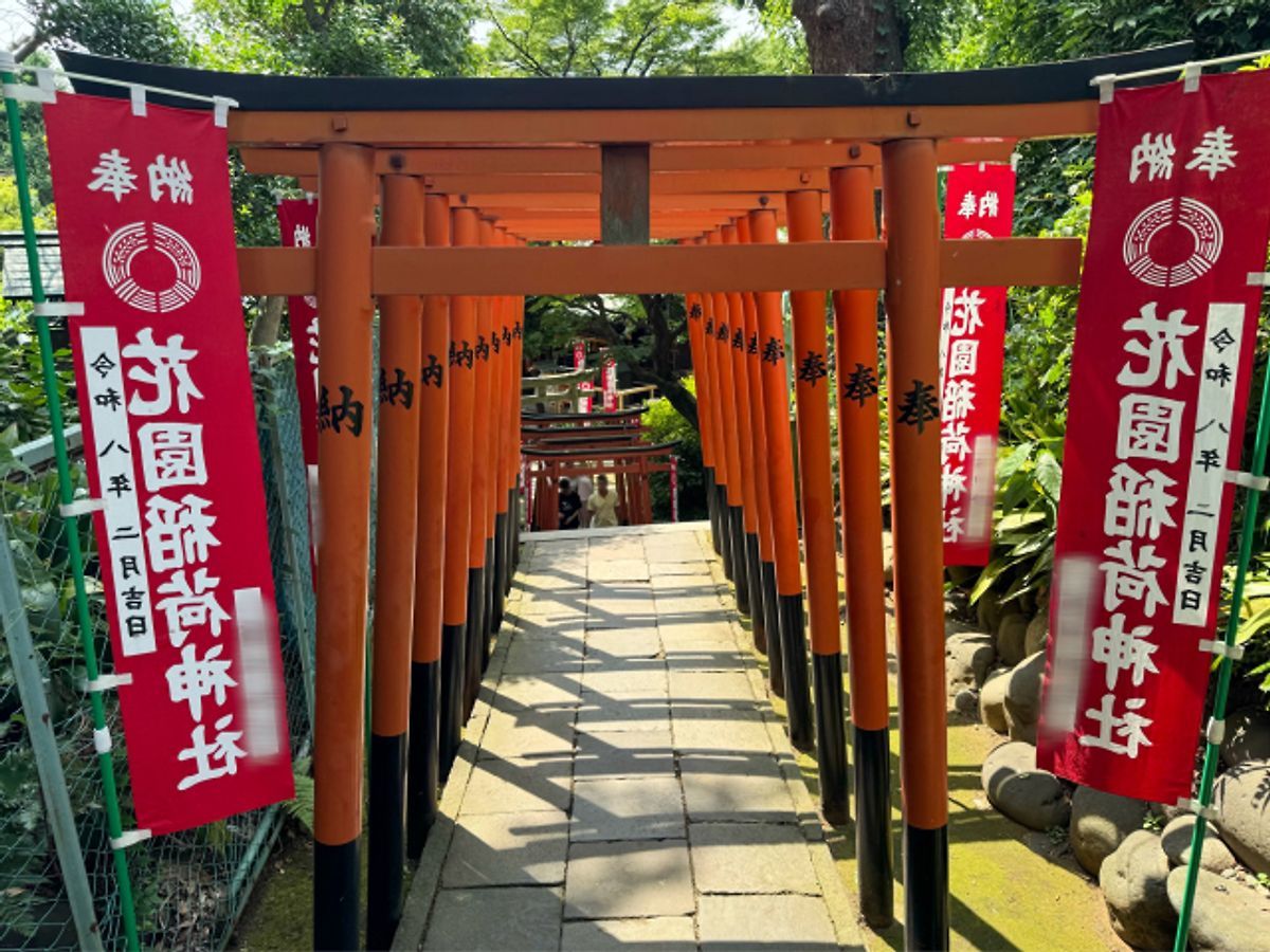 上野 花園稲荷神社の鳥居